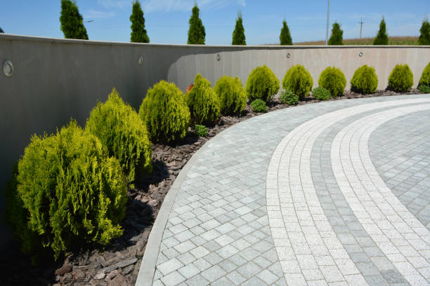 Best Decorative Driveway Pavers  in Ruidoso, NM